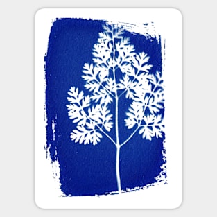 cyanotype fern 2 Sticker